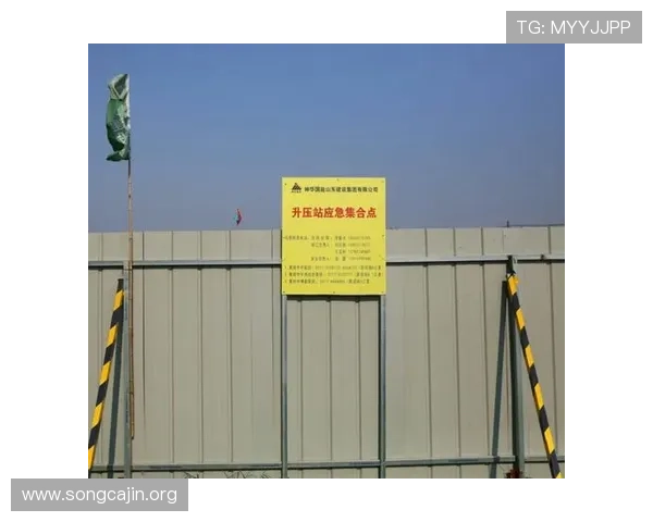 菲律宾欧博经营状况分析：风险管理体系与应急措施的完善程度